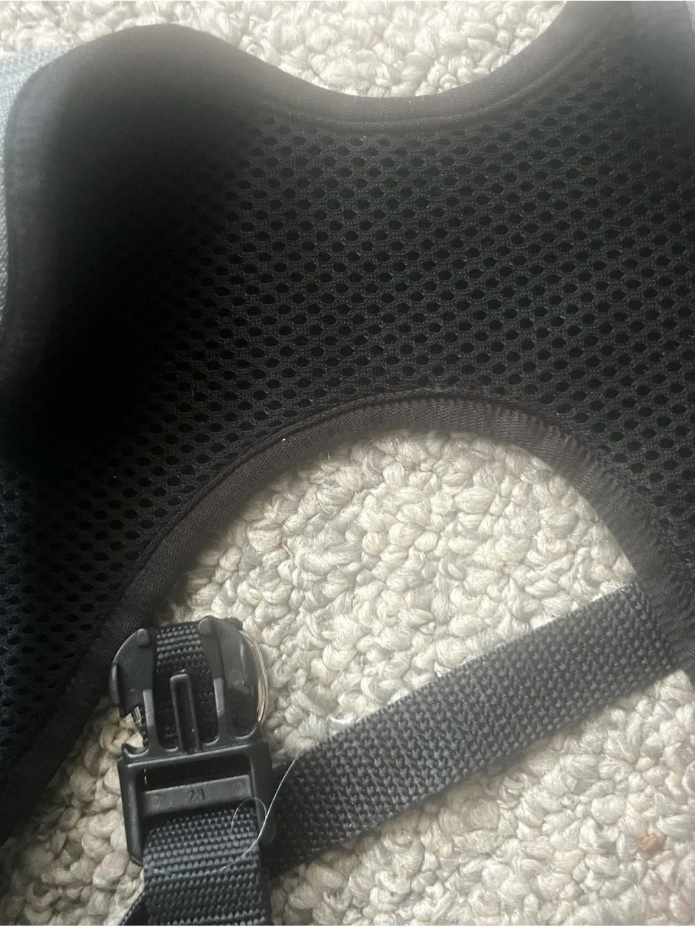 American Kennel Club durable gray